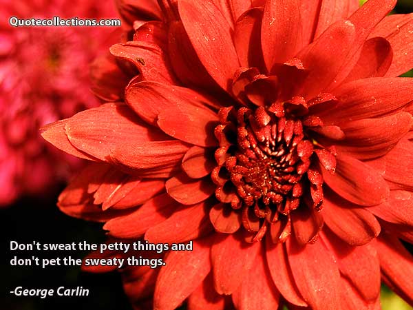 George Carlin Quotes1